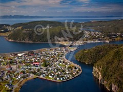 Placentia